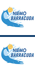 niemobarracuda vierkant 2x